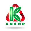 Logo Ankor