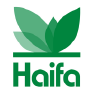 Logo Haifa