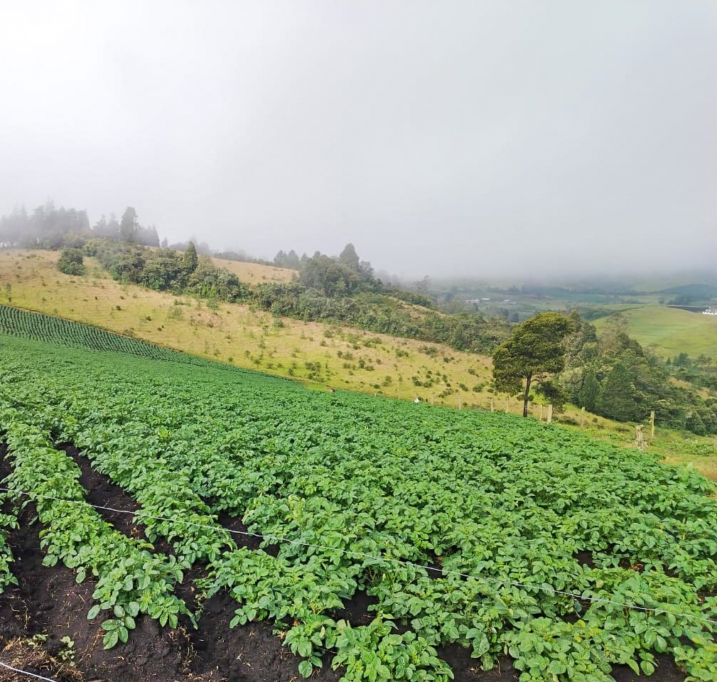 WhatsApp Image 2024-09-19 at 11.22.39 AM (1)